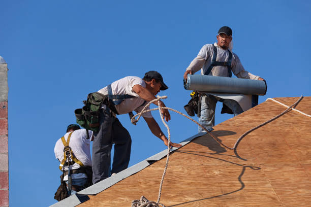 Roof Repair Estimates in Miami, FL